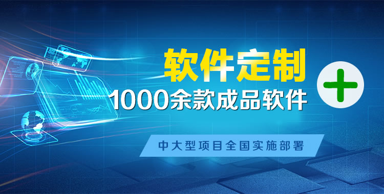 成武软件开发
